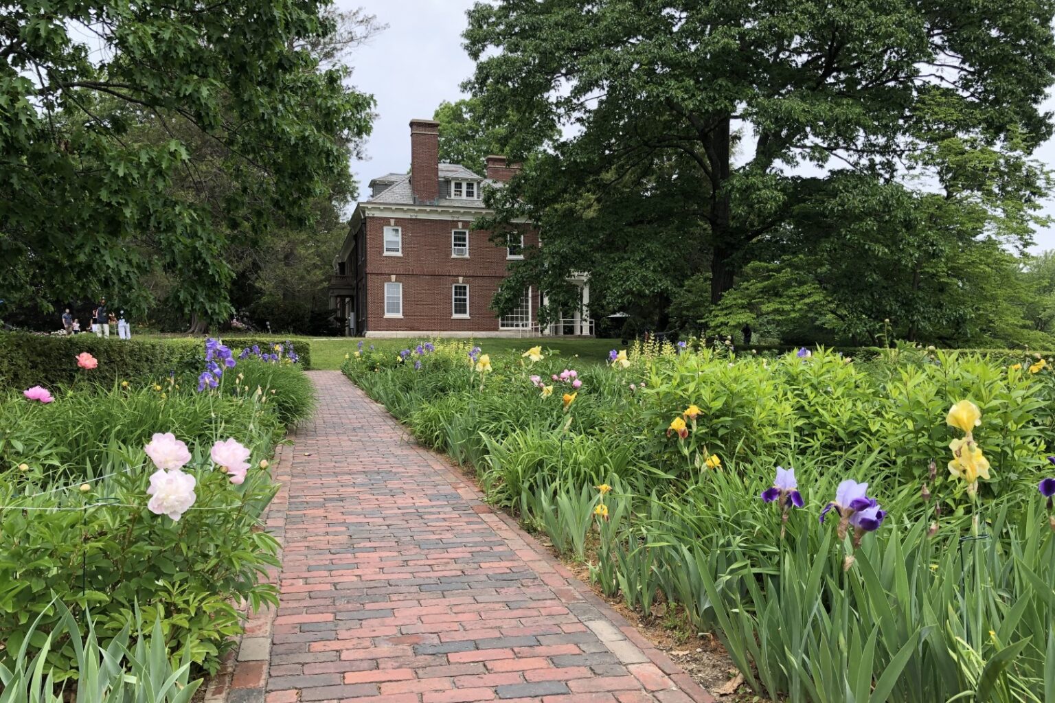 Visit the Buttrick Gardens Friends of Minute Man National Park